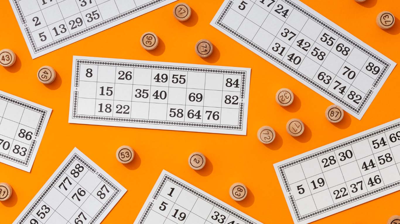 Bingo Bonanza
